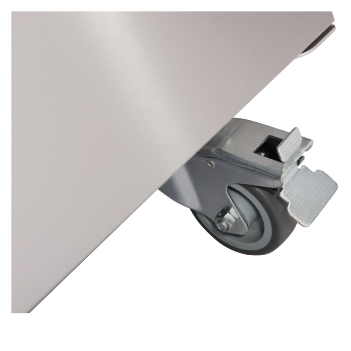 Foster XR 600 L Xtra Freezer (-18°/-21°C)