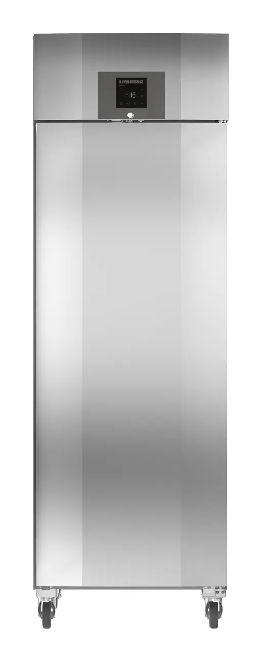 Liebherr GGPv 6540 ProfiLine Upright Commercial Freezer – 597L